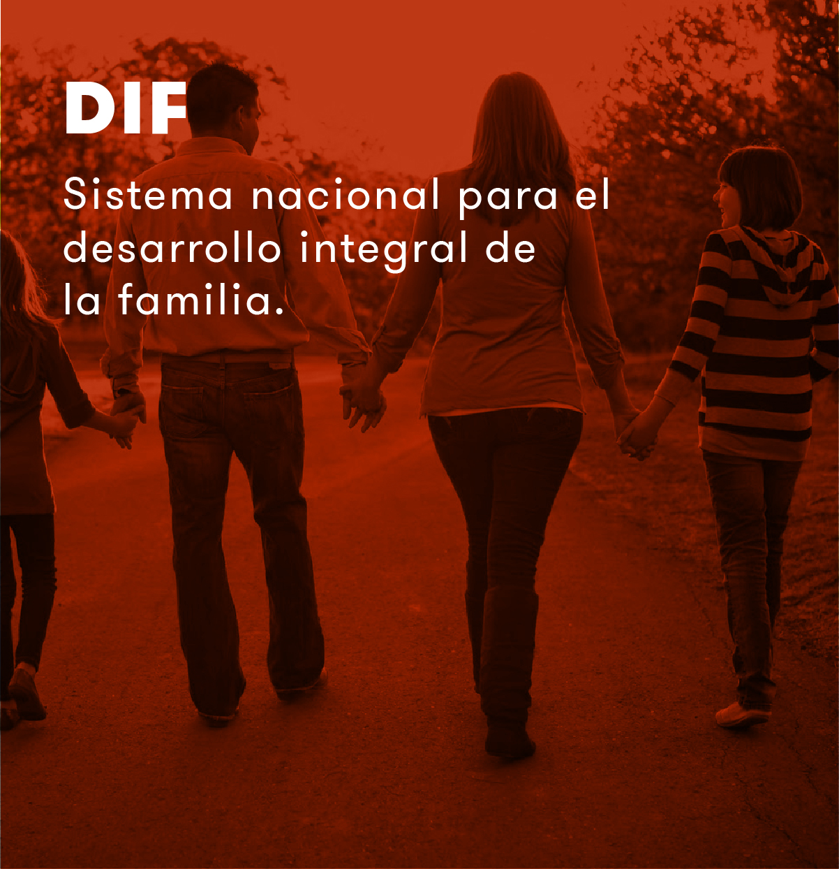 home_interactive_portfolio1