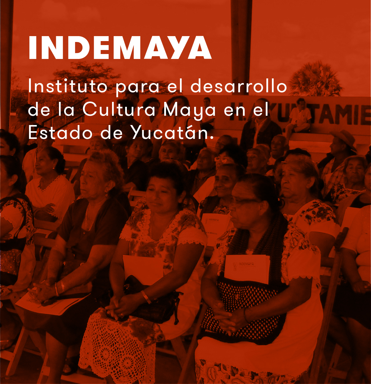 home_interactive_portfolio1