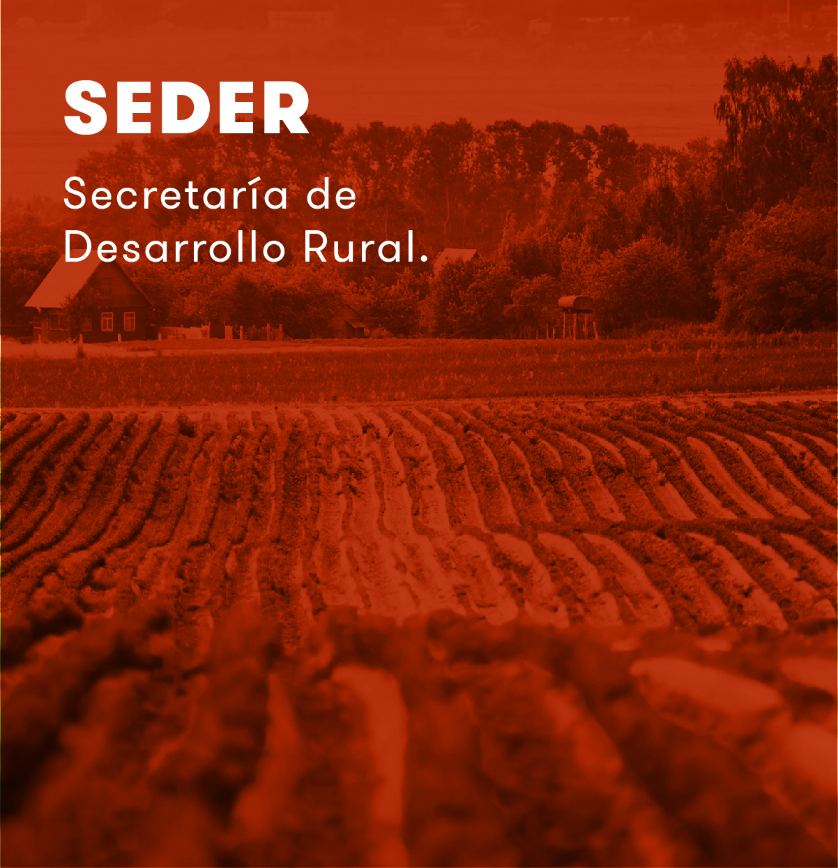 home_interactive_portfolio1