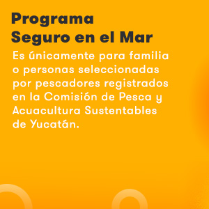 home_interactive_portfolio1