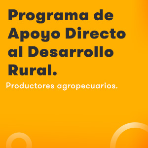 home_interactive_portfolio1